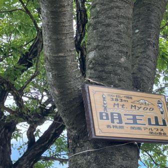 さらに進み、終盤の明王山。
ここは360度ビューで、とても良い景色でした。