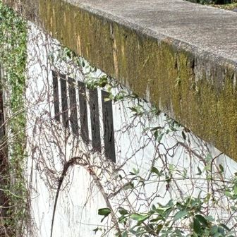 トンネルの上を通りゴール、バラ文字の本坂トンネルをこの角度では中々見られない。
これにはおかわり＆2025年登り納め終了。
今年は目標の百高山を完登、大切戸とジャンダルムも踏破できレベルアップを実感！来年も安全第一で未踏稜線繋ぎと干支🐎登山、YAMAP1,000座(残り243座)を目指して頑張ります💪⛑️🕶️を見かけたらそっとしておいて下さいねー❗️皆さん良いお年を！