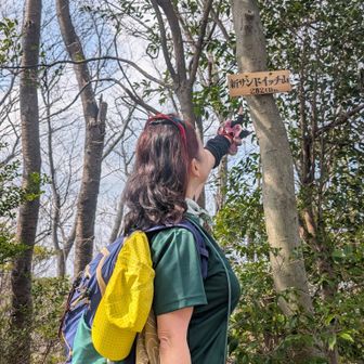 (⁠≧⁠▽⁠≦⁠)