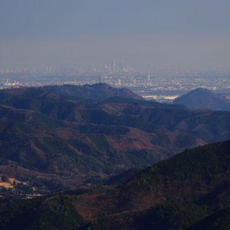 遠くには横浜の市街地が見えました。中央はお馴染みランドマークタワーです。