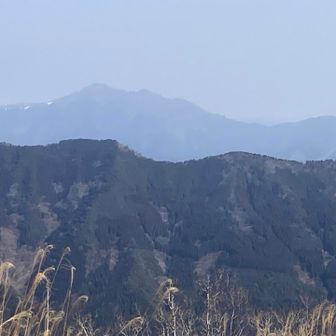 アップ📷　高いですね〜！