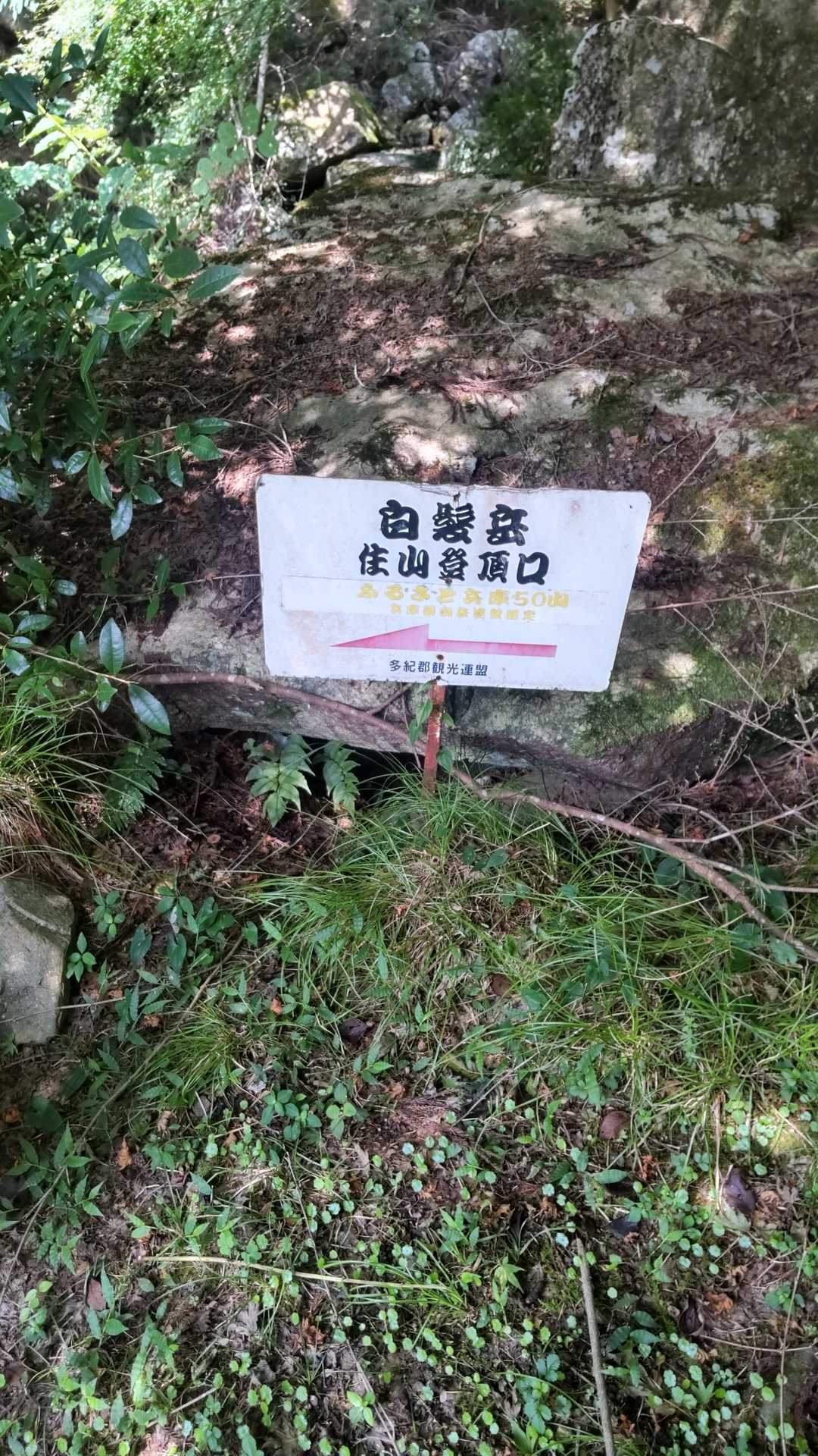 ここから登山道やな💦っか、今までちゃうかったんかーい！😂