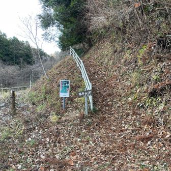 お邪魔しまーす