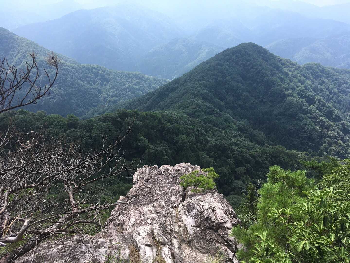 後山の写真
