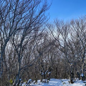 それでもここは気持ち良い空間
