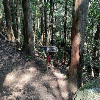 登ったり降りたり…やっとオハイの看板見つけた！