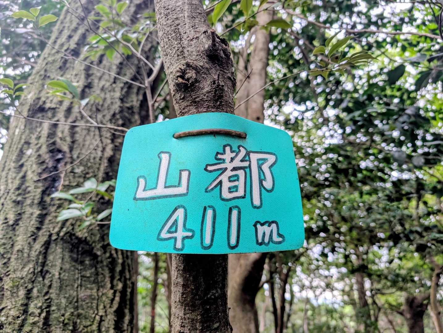キヌ様には出会えなかったけど、
山都⛰️GET🤗🎶