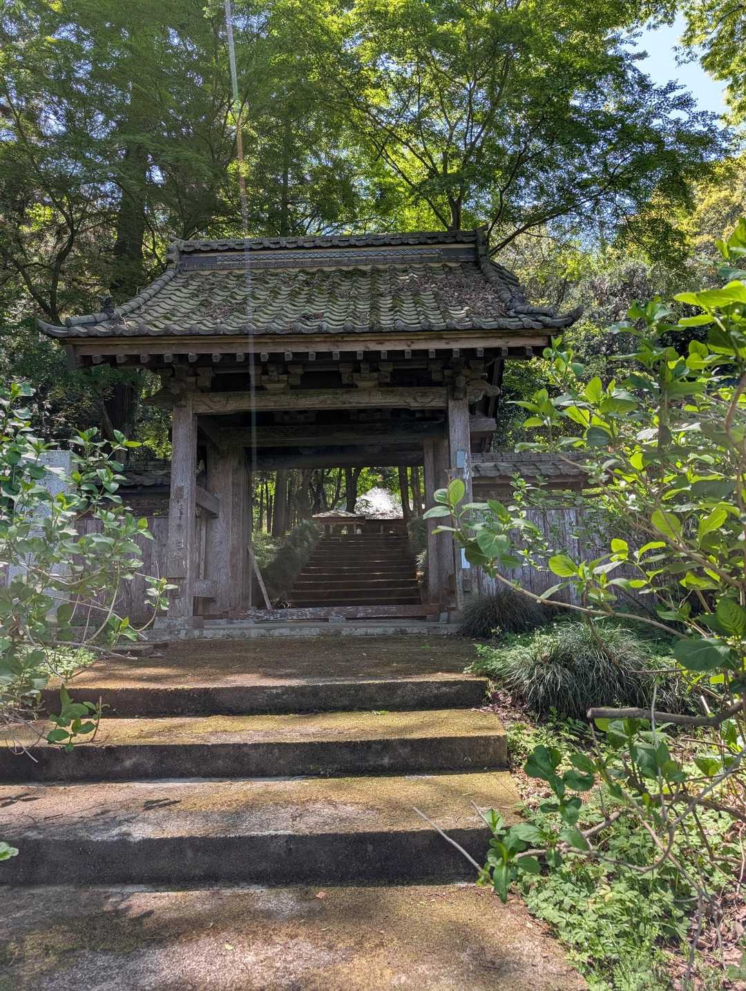 仏生寺-浅間山 往復コースの写真