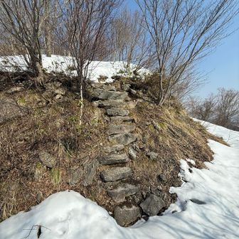 階段転けそうなのでシュー脱ぎました。