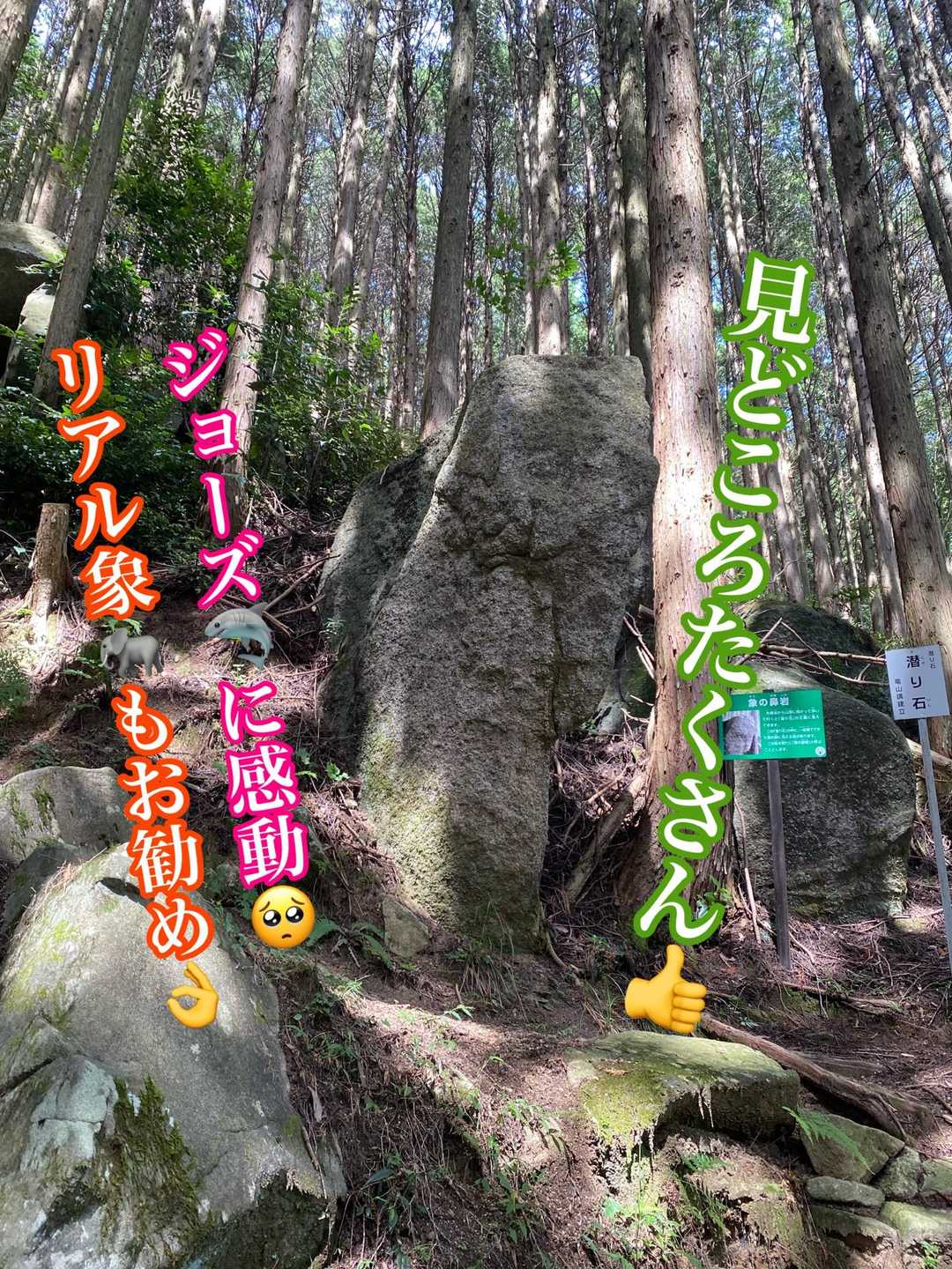 ●潜り石（象の鼻岩　亀の甲羅岩）
最初はナニコレ？　亀はまぁ・・・って感じだが、象は何？と思って見ていたが😅
離れて見ると😲まさしく象である👍
リアルな象で　ちょっぴり感動したのである👍