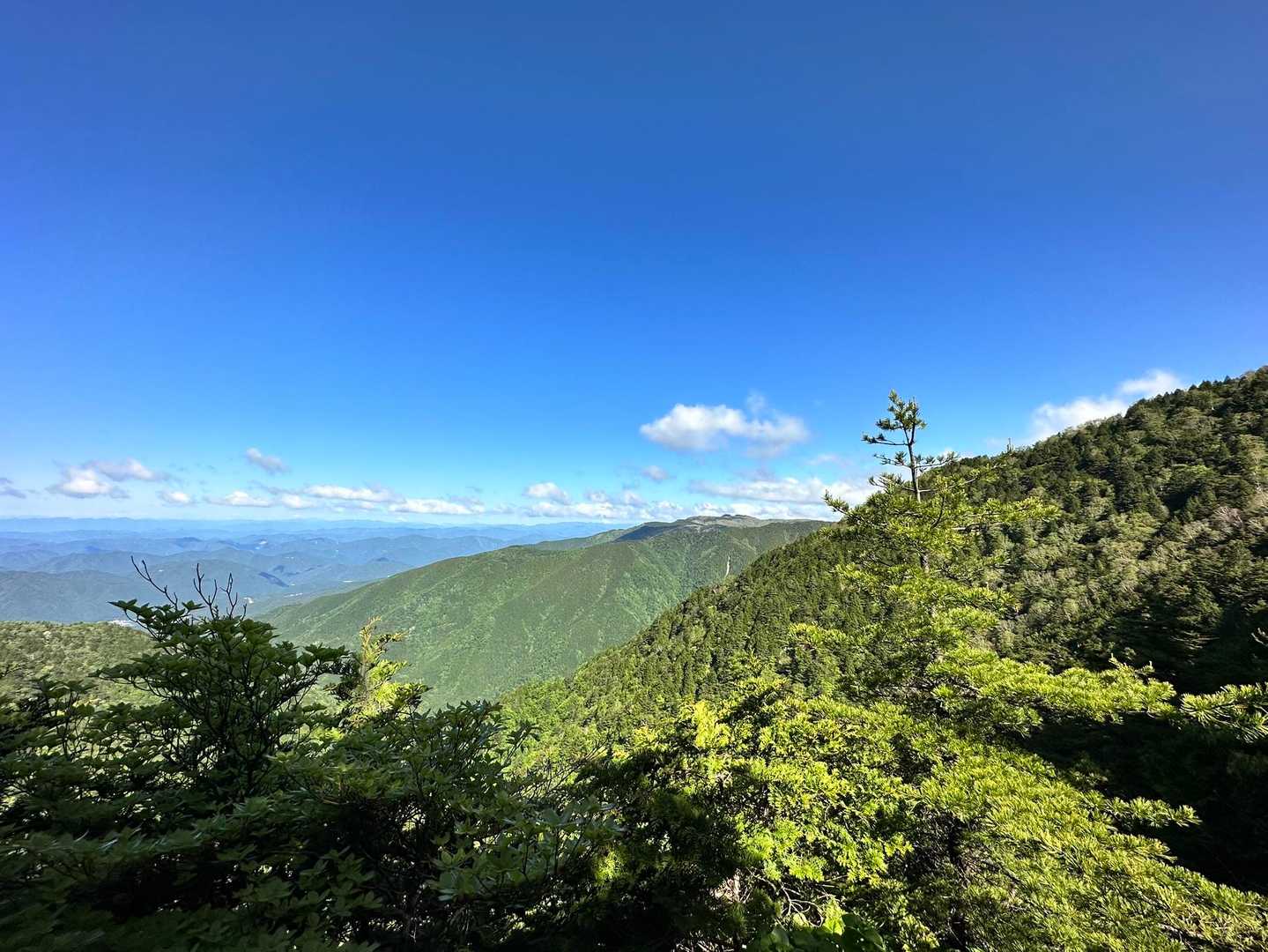 小秀山二の谷登山口-小秀山 往復コースの写真