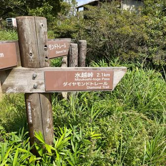 水越峠へ行くしかない