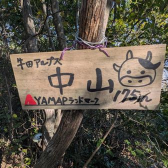去年よりグレードアップしてる🐄またくるね😿