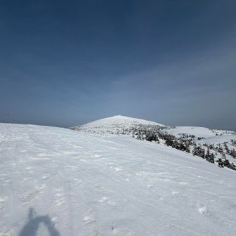 久しぶりに口の中が血の味しました😅