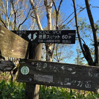 絶景スポットまで60歩？
