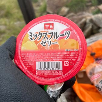 頂いたゼリーちゃんに舌鼓をうつ😋