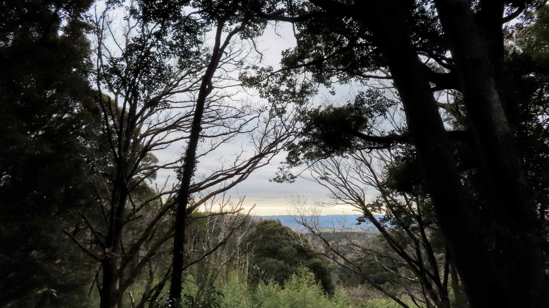 東側の風景