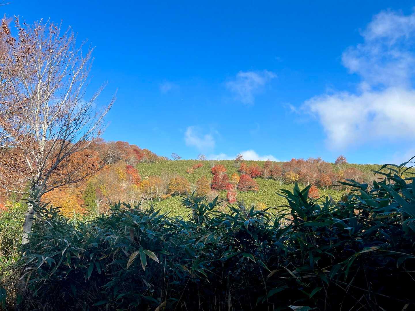大段ヶ平登山口-氷ノ山 往復コースの写真