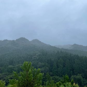 さっきまでいたお山⛰️
低山あるある、全然ゆるくなかった…
すっかり雨模様です…☔