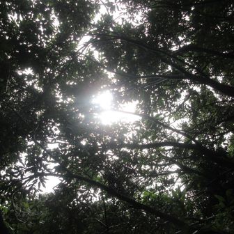 東ルートを下山　　　　　　　　
どうやら雨は上がったようだ🌞✨