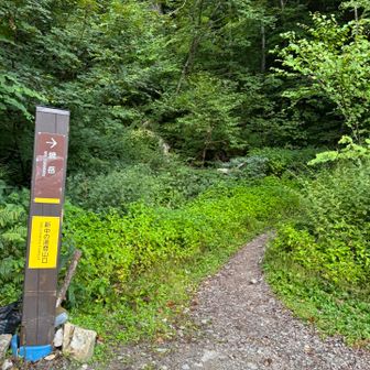 今日は奇跡的に2：00に起きることに成功^_^
6:30登山口に着いて駐車場ギリ停めることができました！
路駐はまだいっぱい停められそうでした。