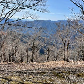池木屋山からの眺望　少し木が邪魔なのが残念
