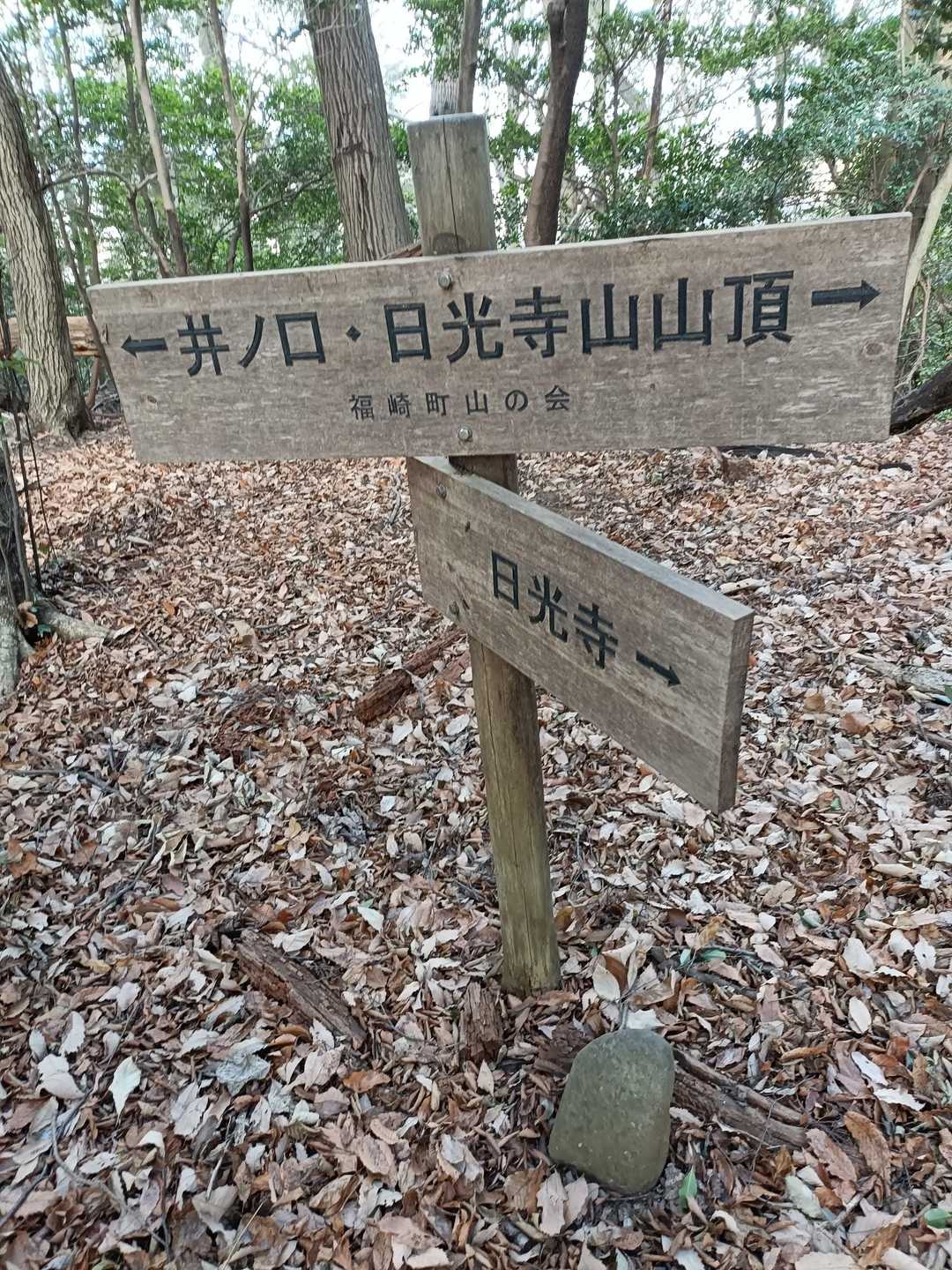 分岐。