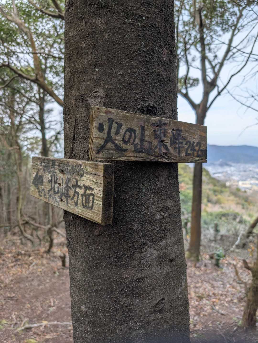 2座目