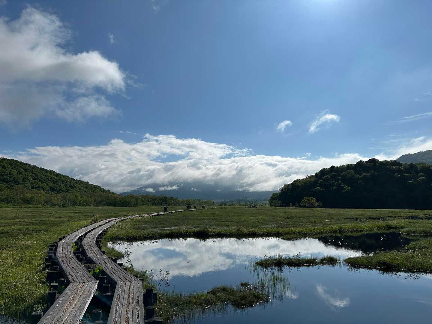 鳩待峠バス停発着｜尾瀬ヶ原周回コースの写真
