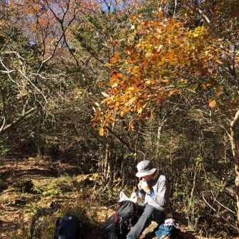 田代峠。ここの紅葉期待していたけど結構散ってました。