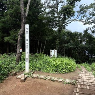 再び山頂