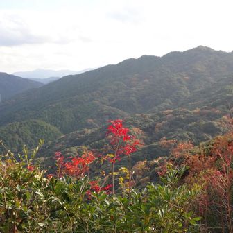 ラスト。ここからのくだりは少し急で段差が大きく注意でした。