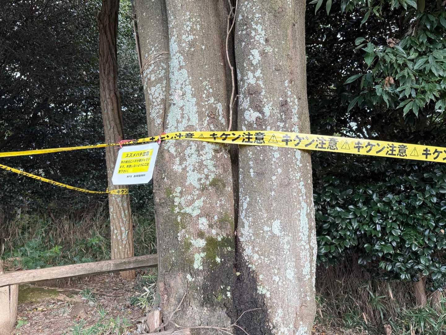 板宿展望台
表示通り🐝がいました。
通行気をつけてください⚠️
表示していただいた方ありがとうございました😊