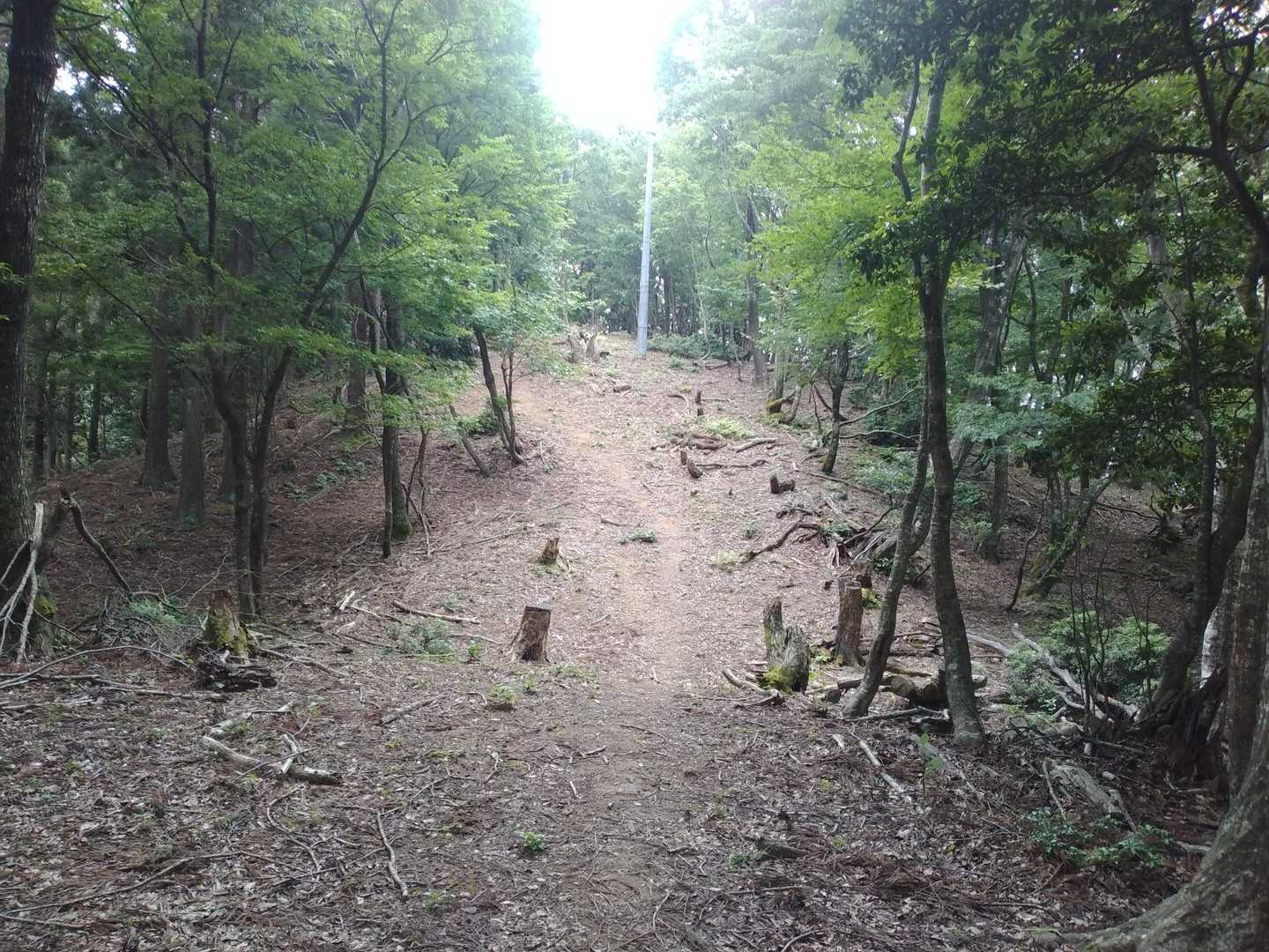 城山-御岳山 往復コースの写真