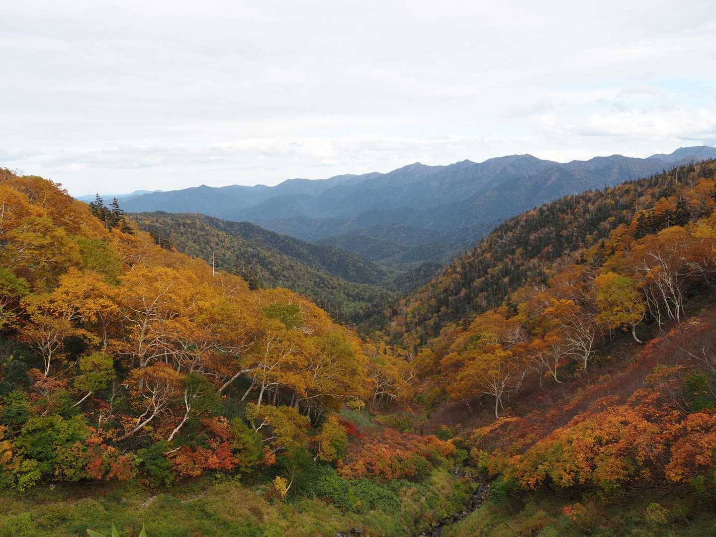 下山時の紅葉🍁
やや雲☁️になると見え方は変わる