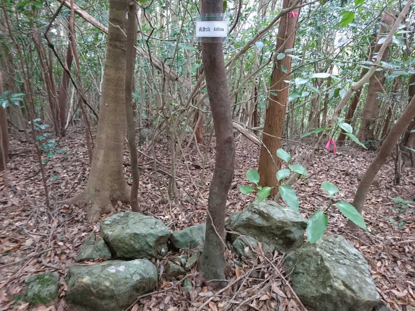 何となく下山開始…。
何か盛り上がらない…。