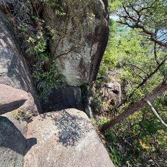 この岩🪨が、噂の脚🦵のとどかないところ😨
右側の松の木と岩🪨に足をかけて、ピョン🐰