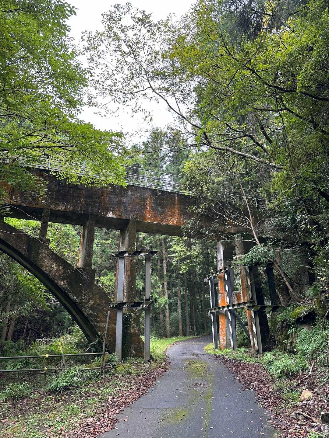 線路かと思ったら違いました🤣