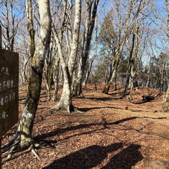 上にも警告⚠️あった