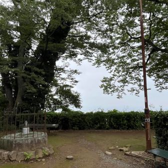 山頂ひとり占めです