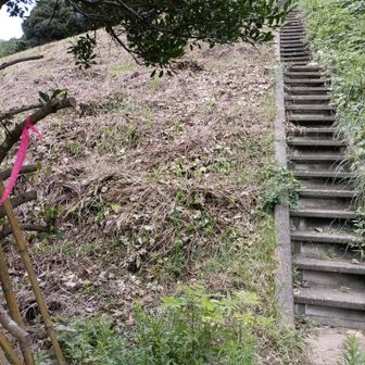 戻ってきました。
杖を返しておきます。