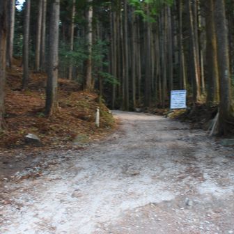 ここから、スタート