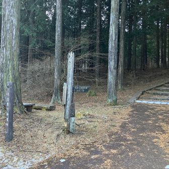 初めてのコース。こにらから