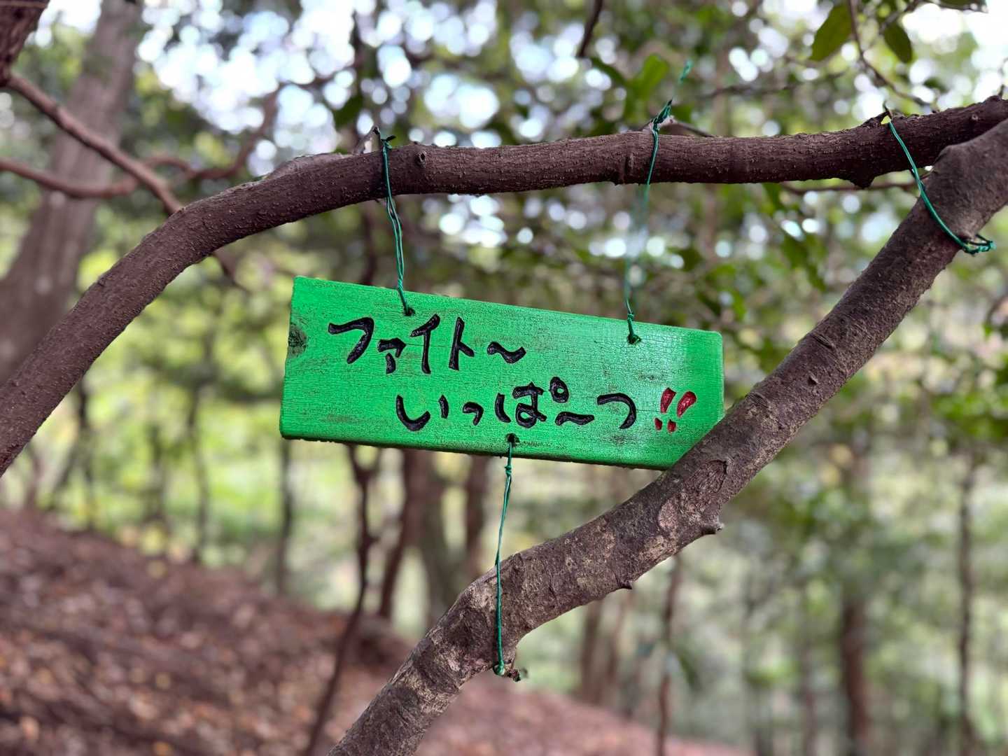 リポビタンD