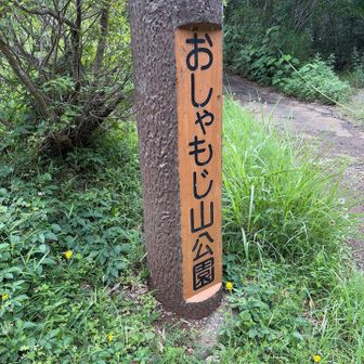 おしゃもじ山だなんて😆