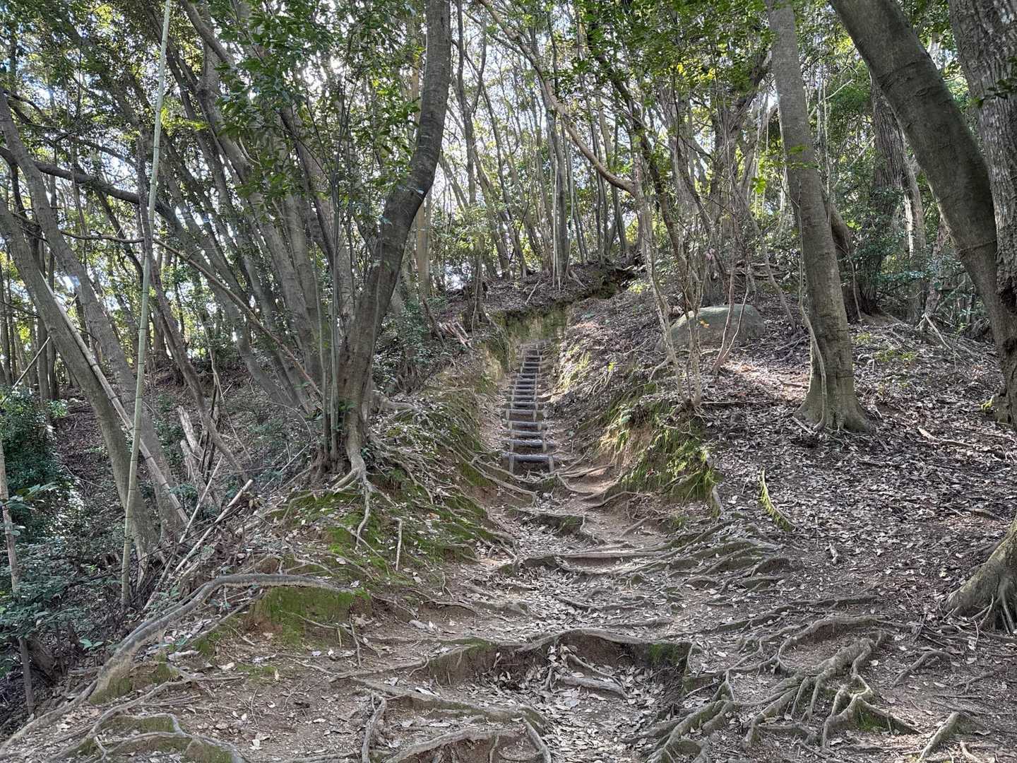 可也山往復｜糸島富士の別名を持つ美しい頂から眺望する糸島ブルーの写真