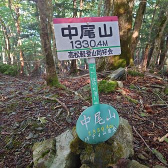 下山時に寄った
“中尾山’’全く眺望は望めません