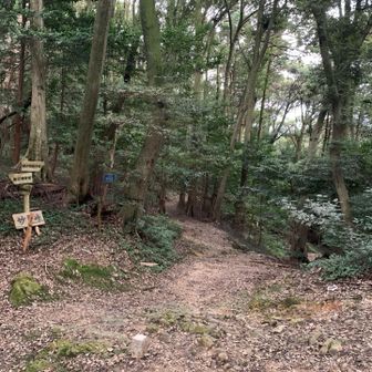 今日は鷹巣山だけと言うことで直進⬆️
呑むのが目的🏮