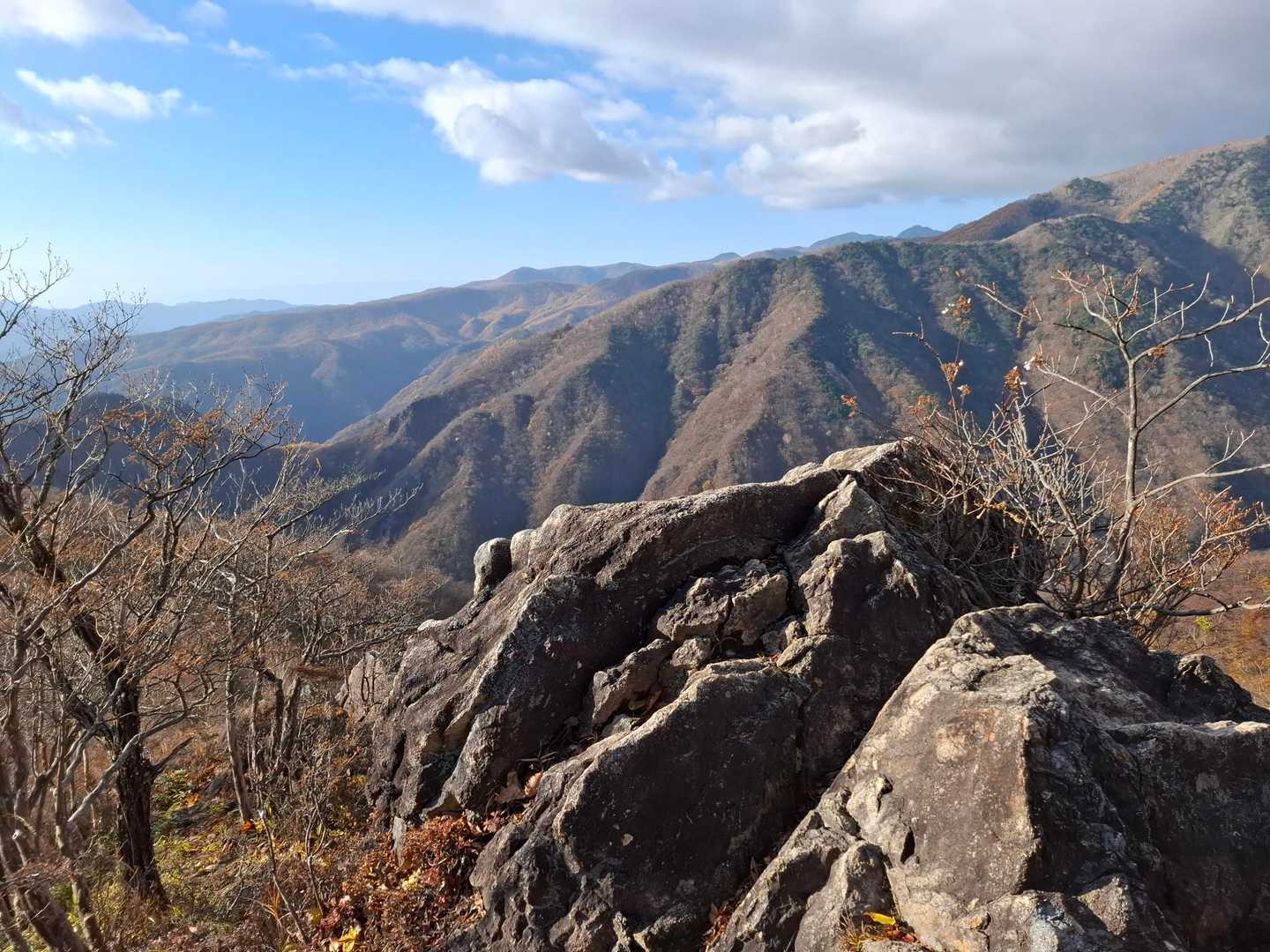 公園入口バス停-中倉山登山口-中倉山 往復コースの写真
