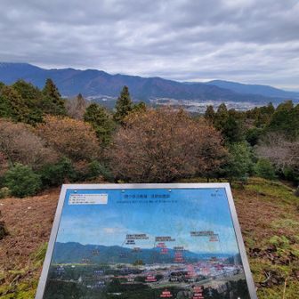 家康が鉄砲で催促と言われてるが、ぶっちゃけ本陣はめちゃくちゃ山奥で聞こえへんて（片道30分よ？？）
